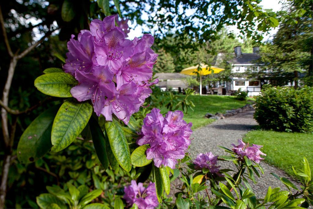 Romantik Hotel Stryckhaus Willingen  Exteriör bild